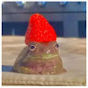 Meet your Posher, Ally